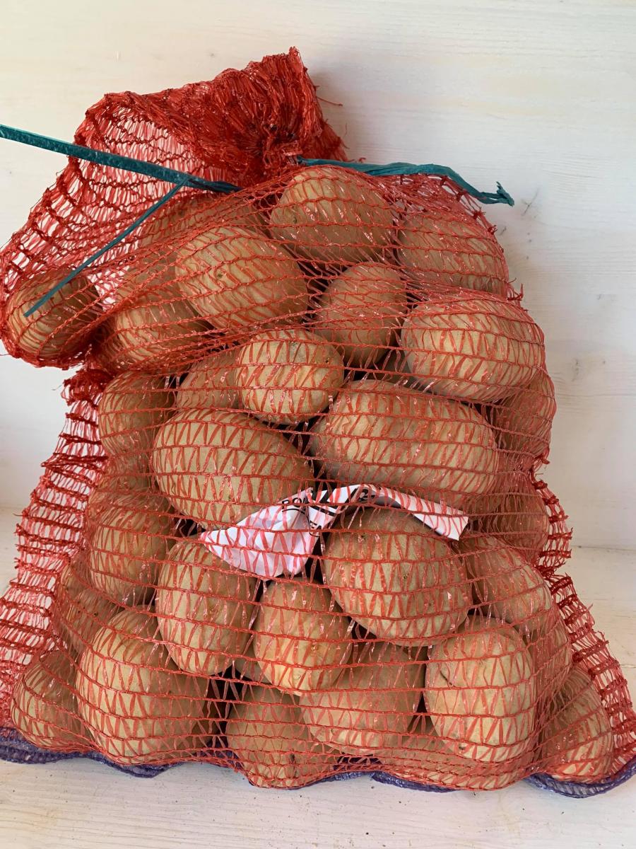 Sac pomme de best sale terre 10 kg
